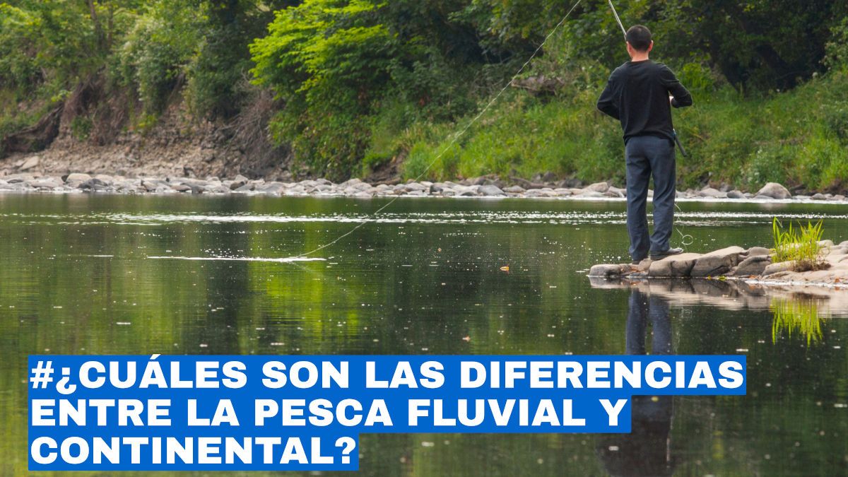 ¿Cuáles son las diferencias entre la pesca fluvial y continental?