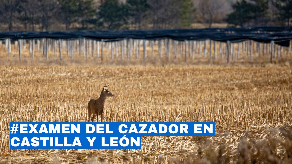 Examen del cazador en Castilla y León