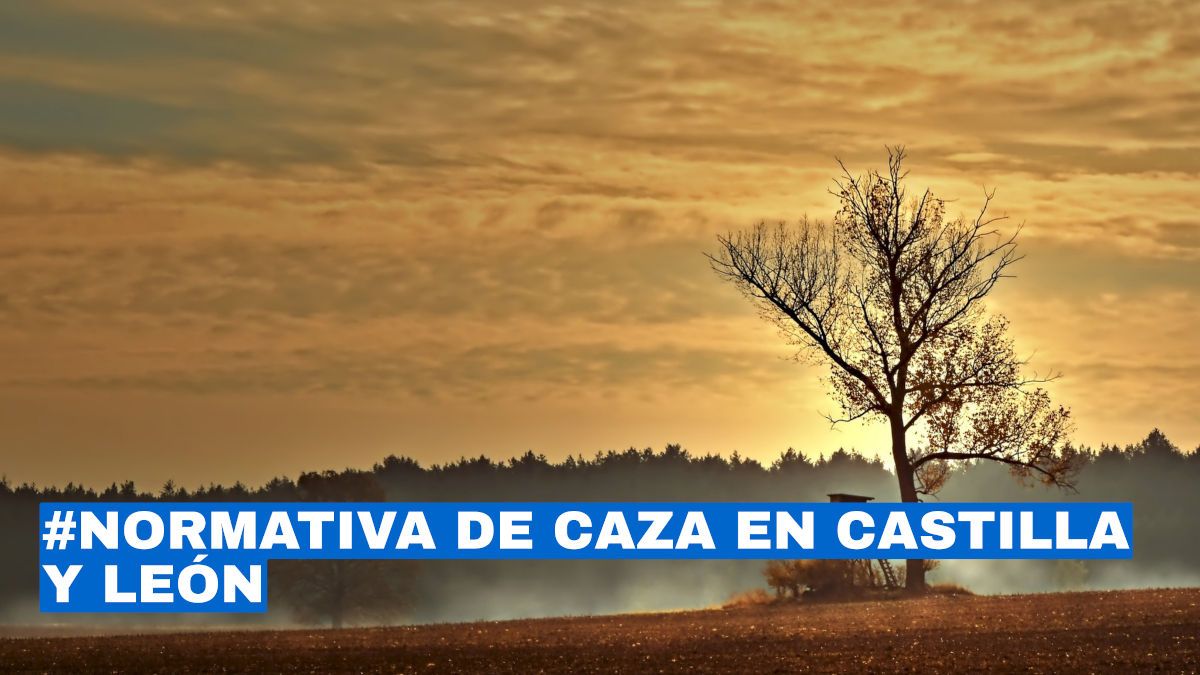 Normativa de caza en Castilla y León