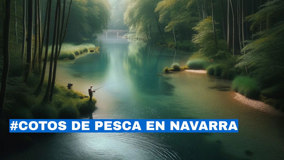 cotos de pesca en Navarra